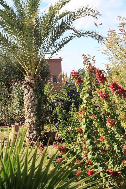 Terra Mia Marrakech Bed & Breakfast Ouled Jelal Exterior photo